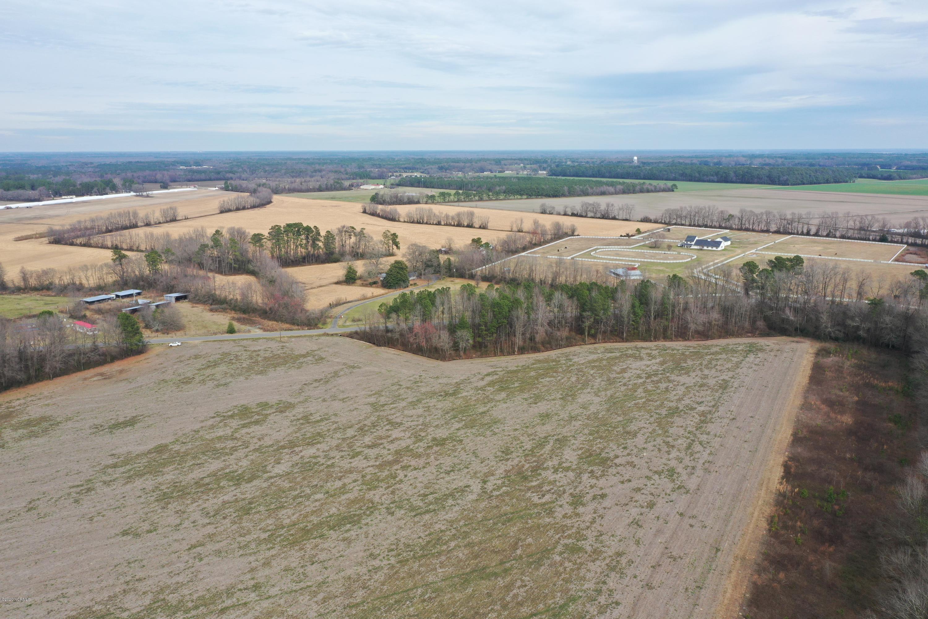 1140 Emmaus Church Road Dudley, NC 28333 - Photo 2 of 7 Gallery Image 2