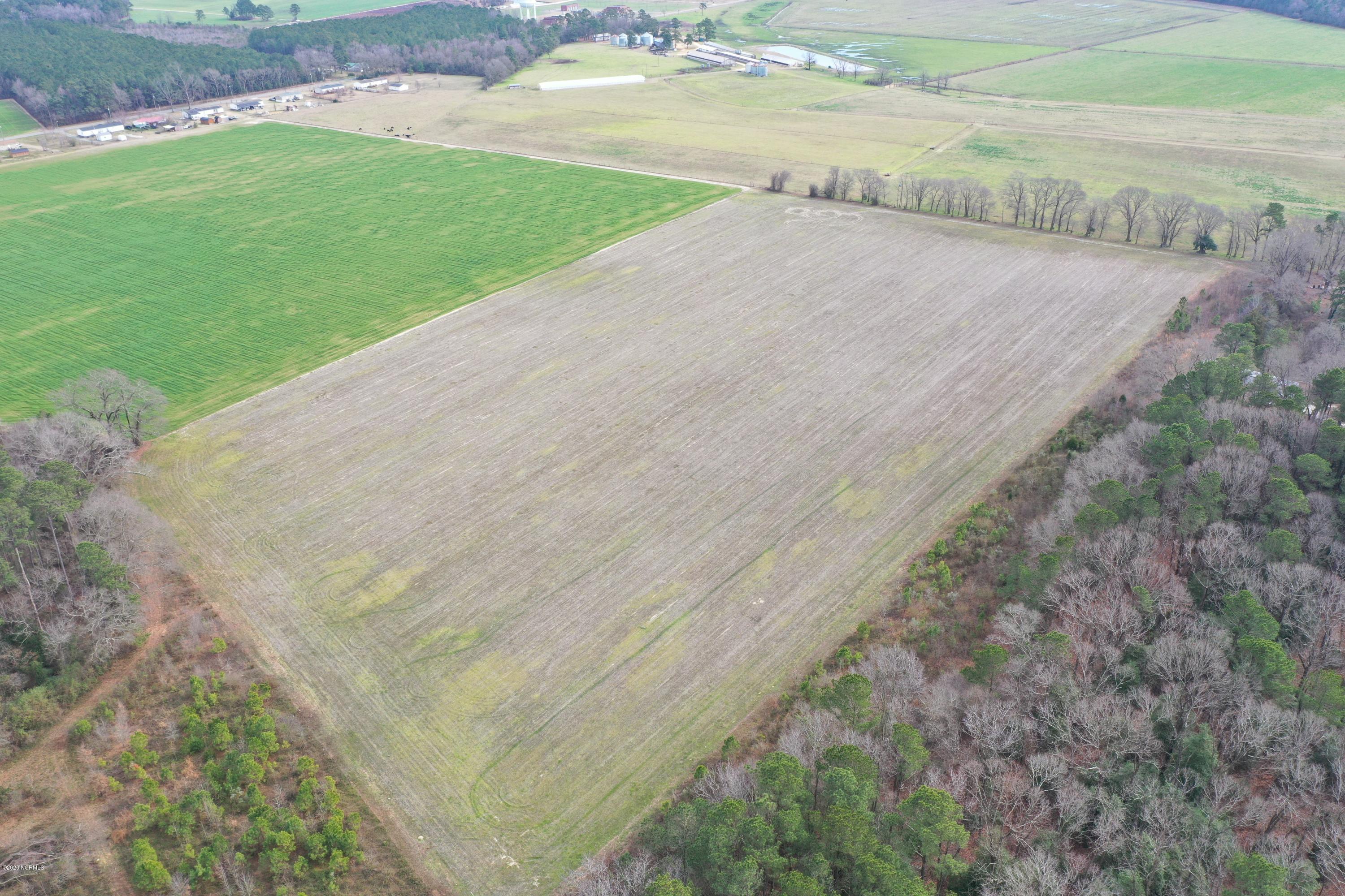 1140 Emmaus Church Road Dudley, NC 28333 - Photo 4 of 7 Gallery Image 4
