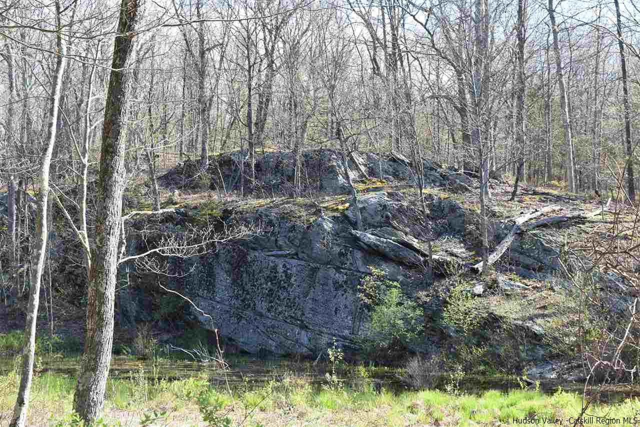 555 Milan Hill Road Red Hook, NY 12571 - Photo 11 of 29 a backyard of a house with lots of green space
