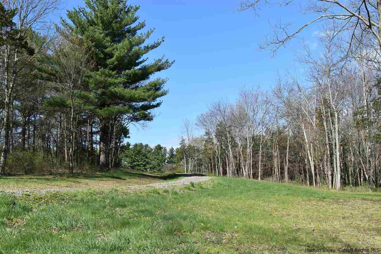 555 Milan Hill Road Red Hook, NY 12571 - Photo 12 of 29 a view of a yard with an trees