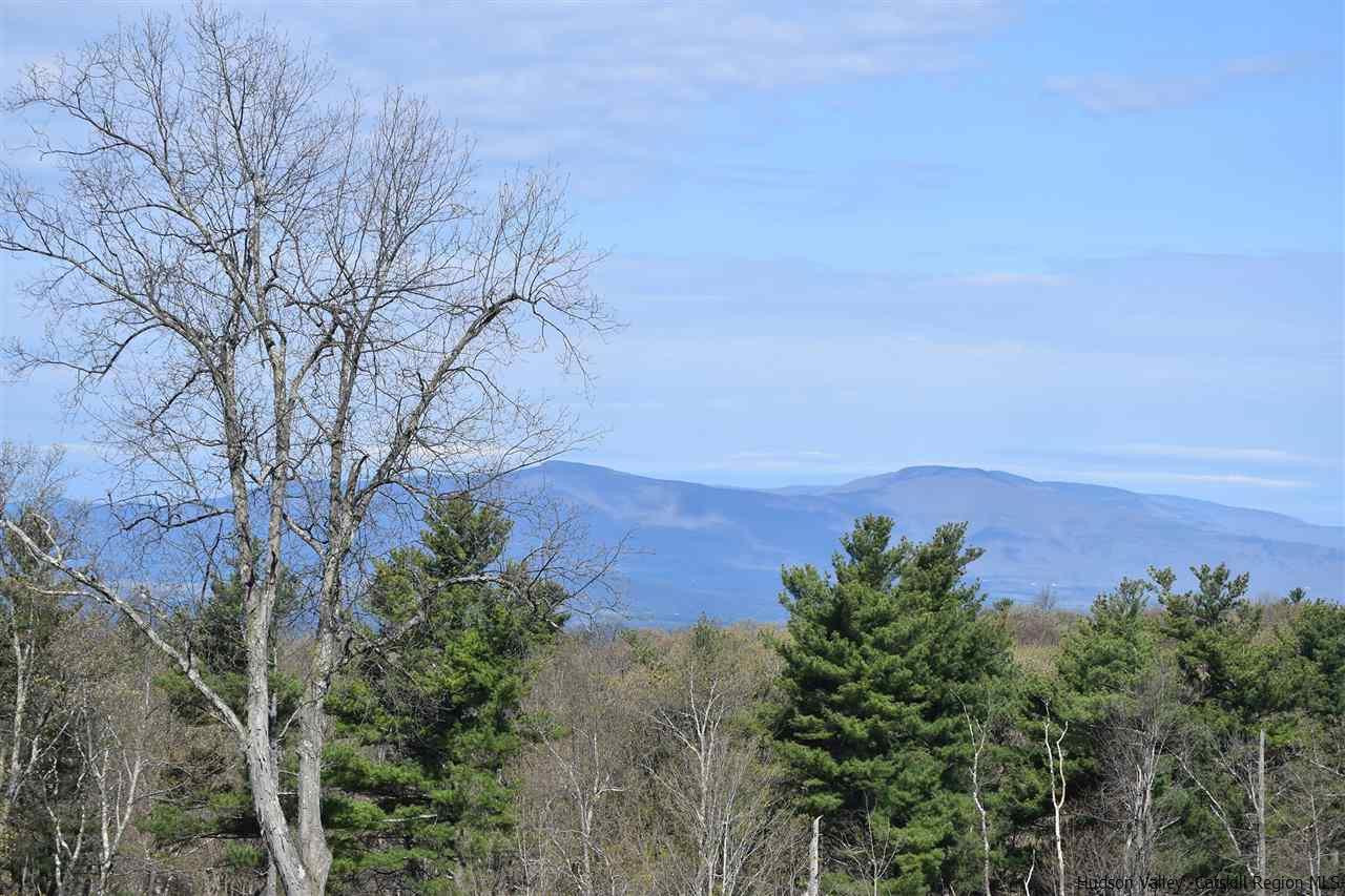 555 Milan Hill Road Red Hook, NY 12571 - Photo 2 of 29 a view of a large building in middle of forest