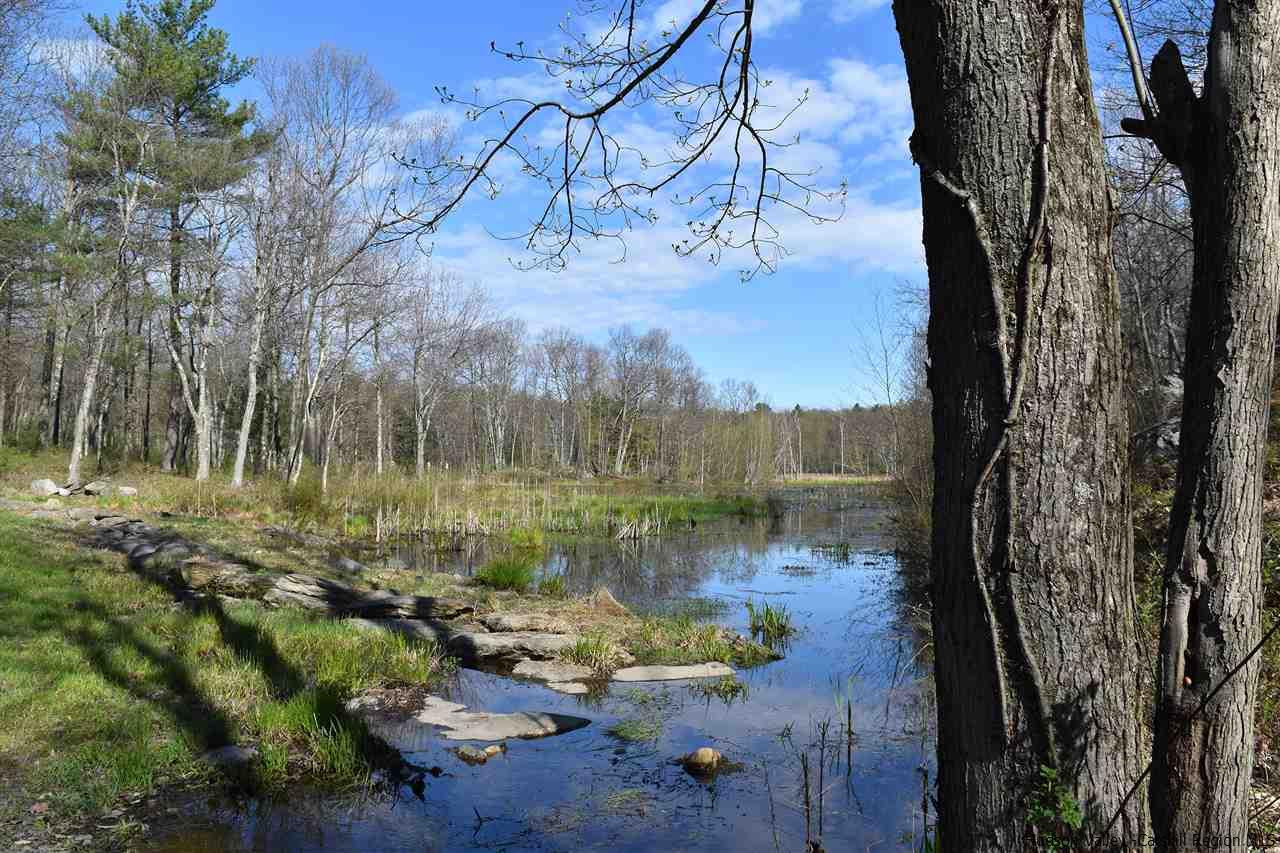 555 Milan Hill Road Red Hook, NY 12571 - Photo 3 of 29 a view of a lake in between two large trees
