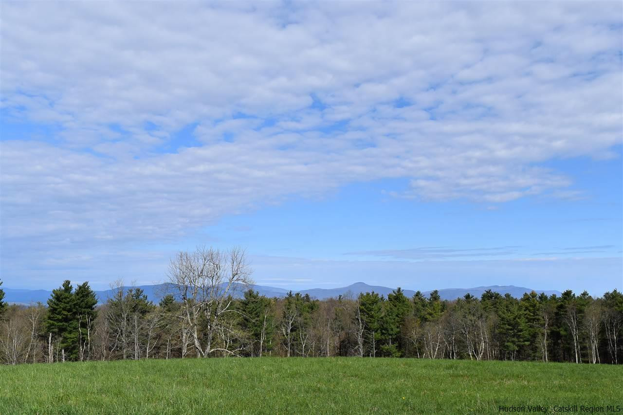 555 Milan Hill Road Red Hook, NY 12571 - Photo 5 of 29 a view of a city and a mountain in the background