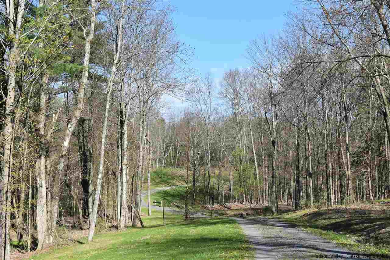 555 Milan Hill Road Red Hook, NY 12571 - Photo 6 of 29 a view of a city view