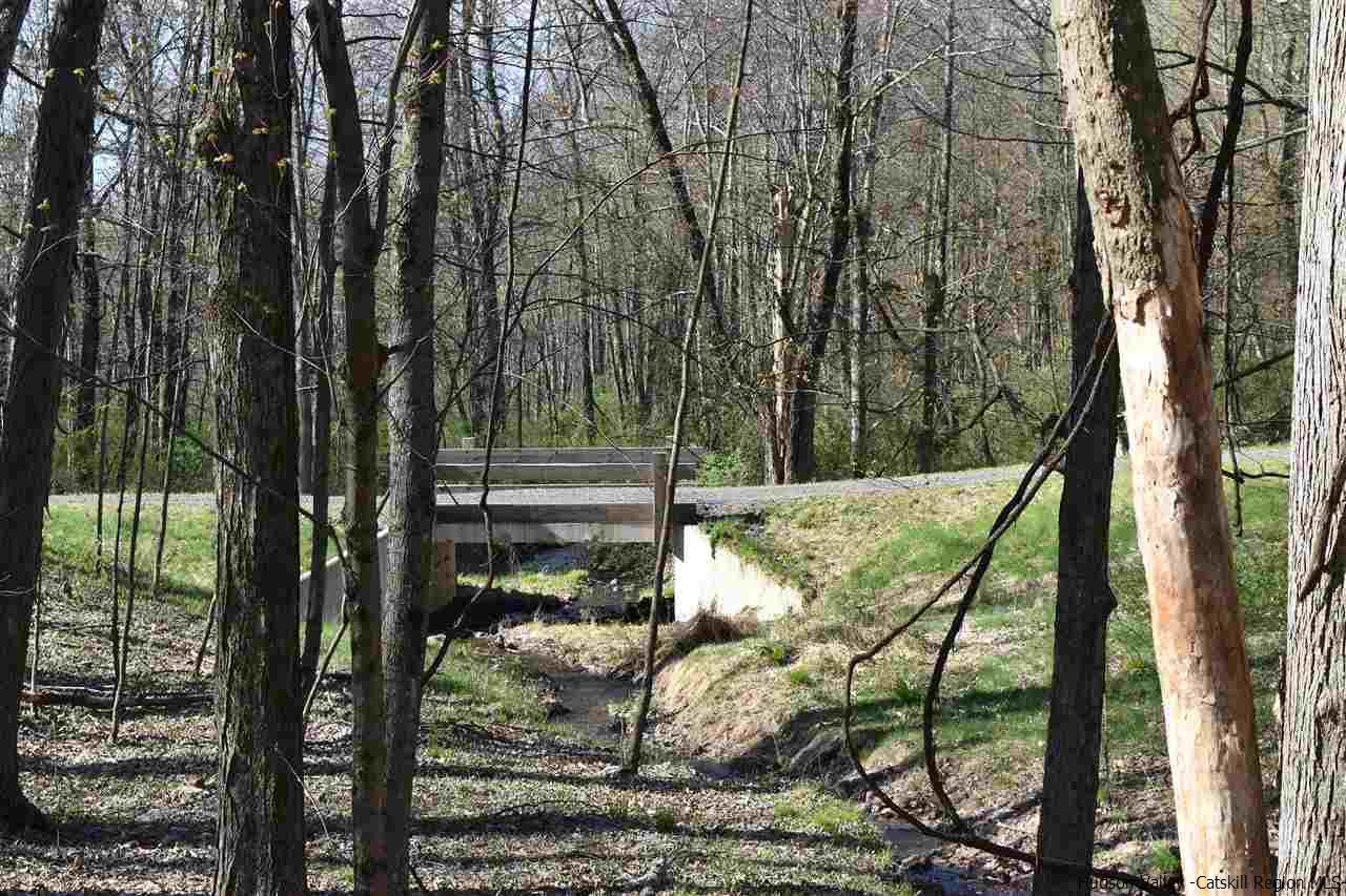 555 Milan Hill Road Red Hook, NY 12571 - Photo 7 of 29 a view of backyard with green space
