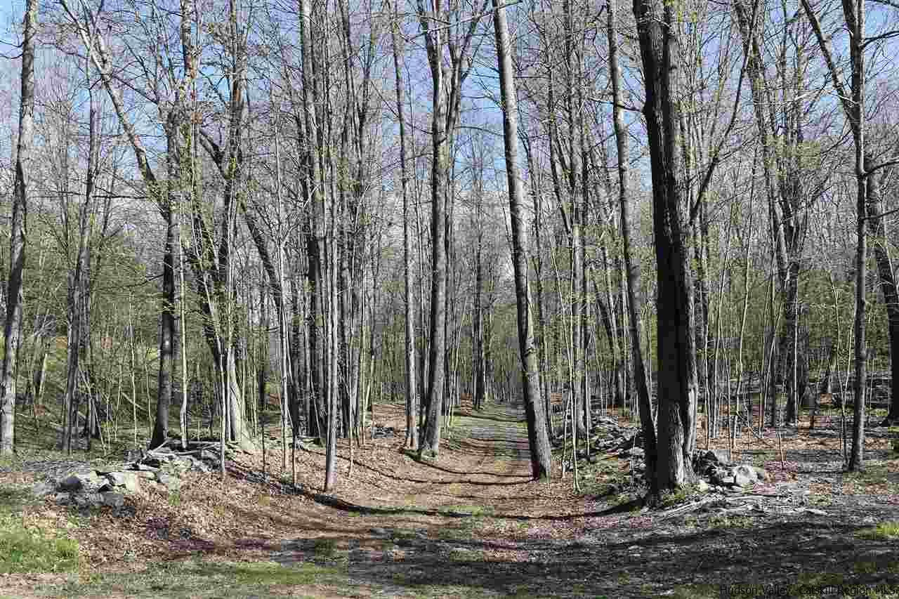 555 Milan Hill Road Red Hook, NY 12571 - Photo 8 of 29 a view of a backyard with trees