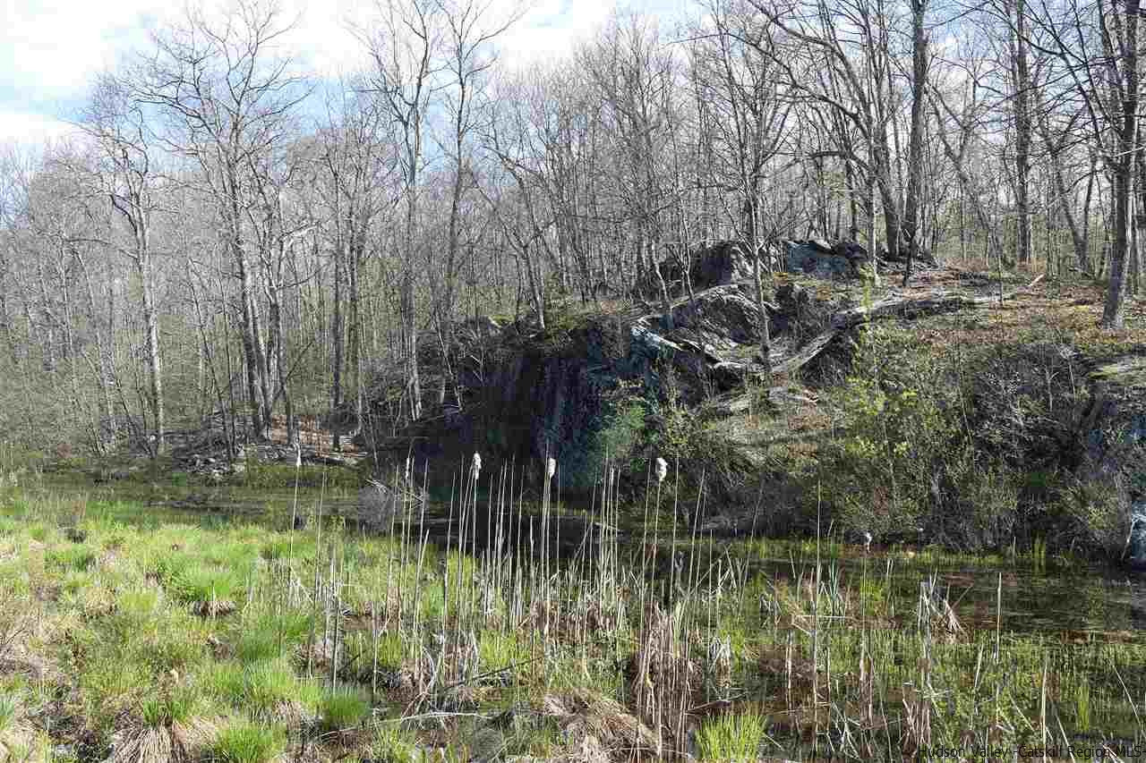 555 Milan Hill Road Red Hook, NY 12571 - Photo 10 of 29 a view of backyard with green space