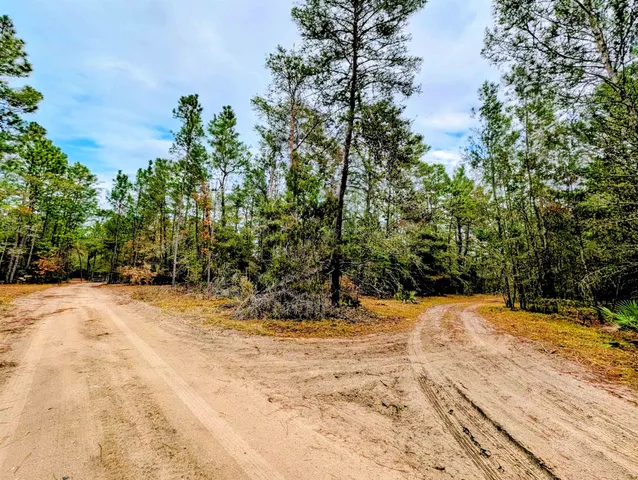 a view of a backyard of the house