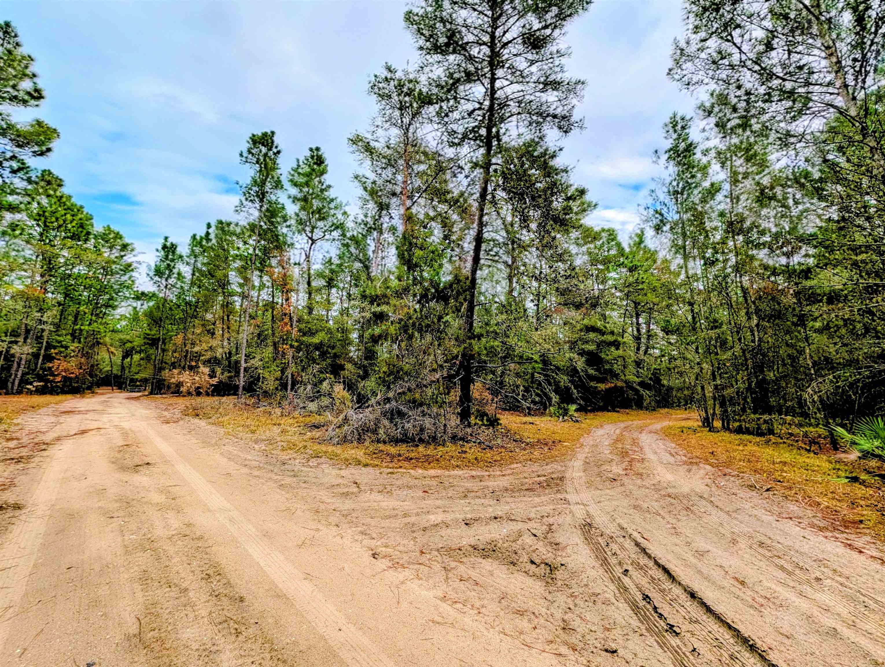 a view of a backyard of the house
