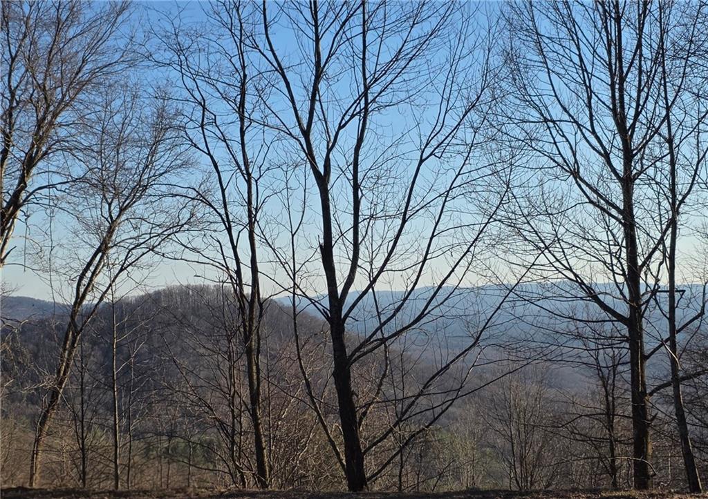 0 Big Creek Road Ellijay, GA 30536 - Photo 1 of 26