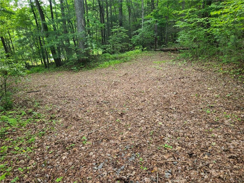 0 Big Creek Road Ellijay, GA 30536 - Photo 11 of 26