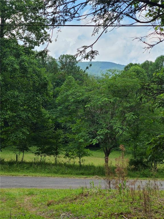 0 Big Creek Road Ellijay, GA 30536 - Photo 12 of 26