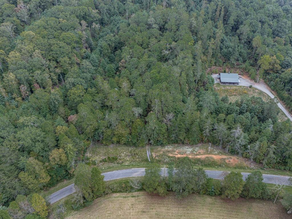 0 Big Creek Road Ellijay, GA 30536 - Photo 13 of 26