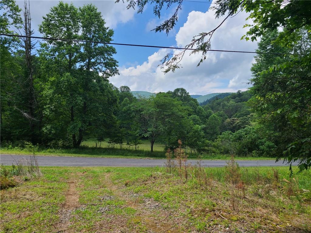 0 Big Creek Road Ellijay, GA 30536 - Photo 14 of 26