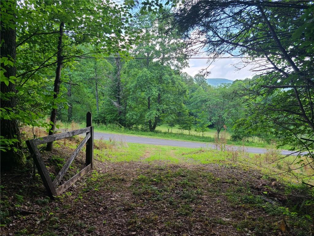 0 Big Creek Road Ellijay, GA 30536 - Photo 15 of 26