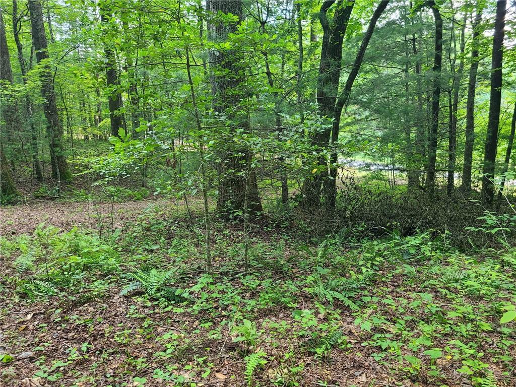 0 Big Creek Road Ellijay, GA 30536 - Photo 16 of 26