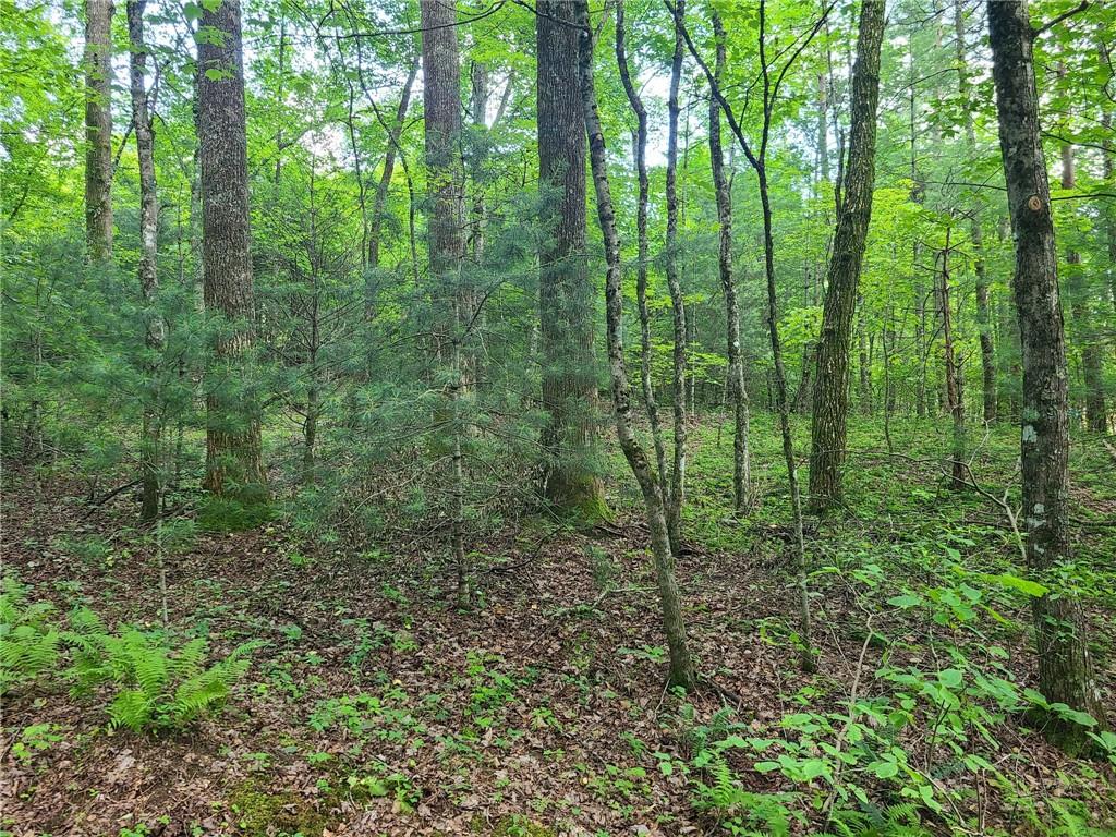 0 Big Creek Road Ellijay, GA 30536 - Photo 17 of 26