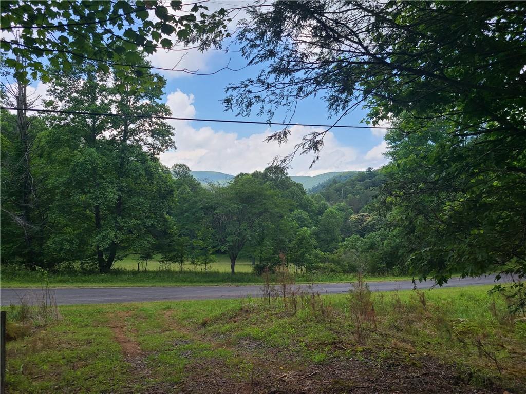 0 Big Creek Road Ellijay, GA 30536 - Photo 18 of 26