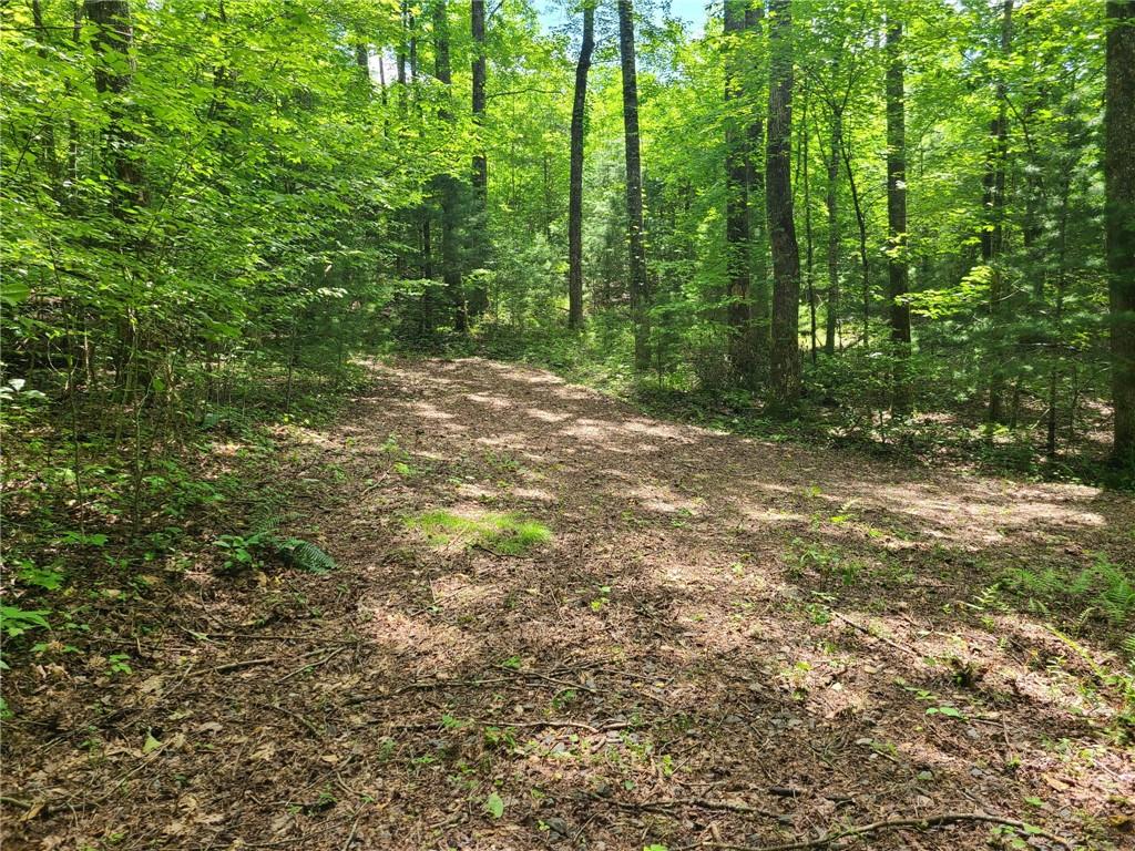 0 Big Creek Road Ellijay, GA 30536 - Photo 19 of 26