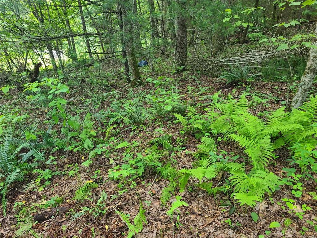 0 Big Creek Road Ellijay, GA 30536 - Photo 20 of 26