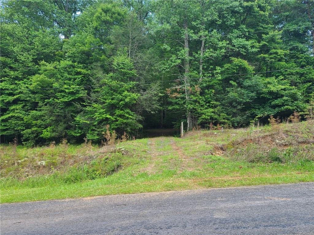 0 Big Creek Road Ellijay, GA 30536 - Photo 2 of 26