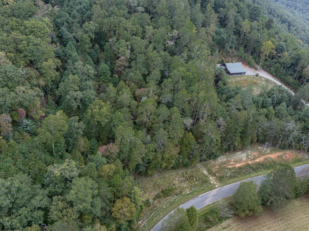 0 Big Creek Road Ellijay, GA 30536 - Photo 21 of 26