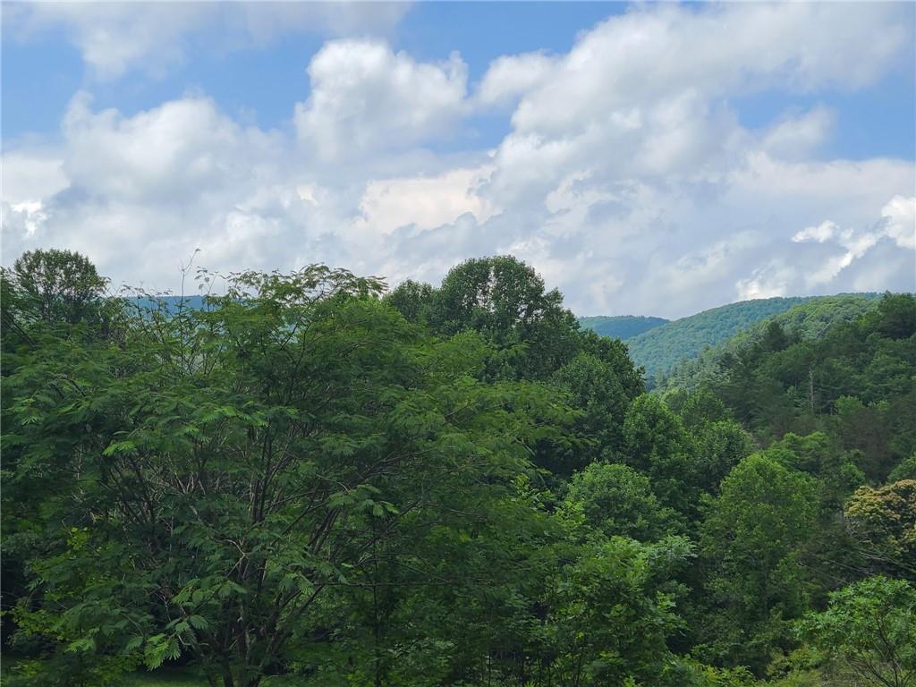 0 Big Creek Road Ellijay, GA 30536 - Photo 25 of 26