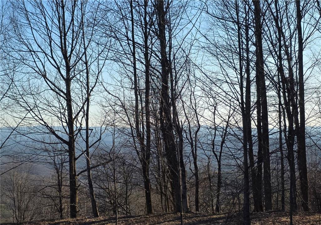 0 Big Creek Road Ellijay, GA 30536 - Photo 26 of 26