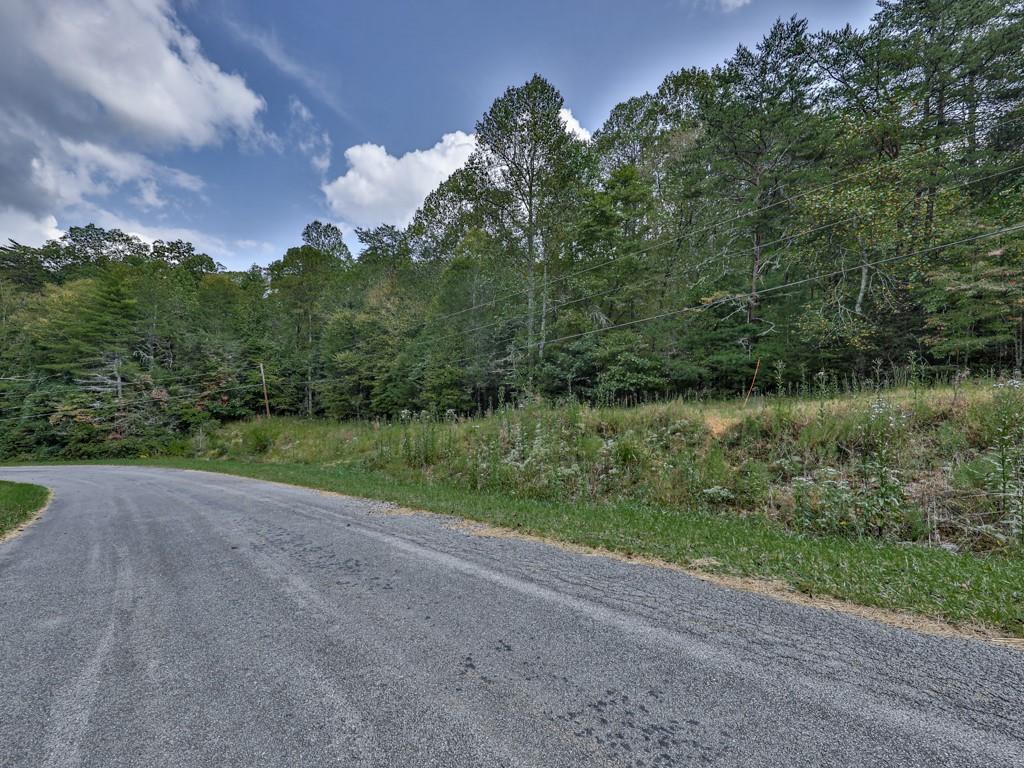 0 Big Creek Road Ellijay, GA 30536 - Photo 3 of 26