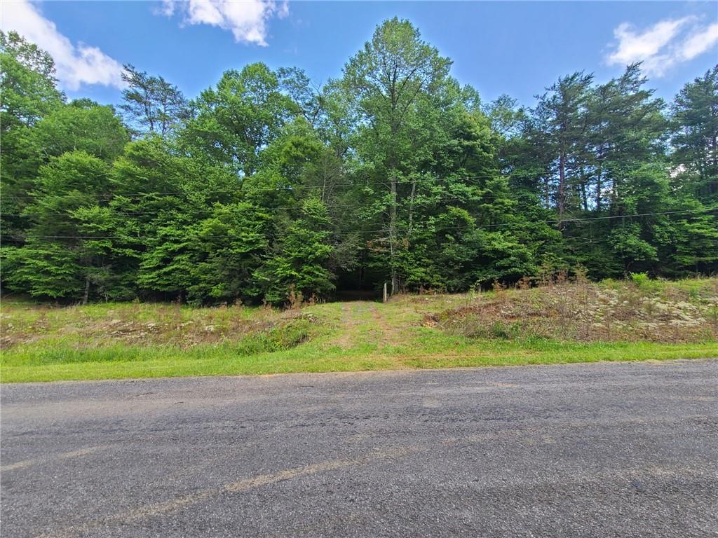 0 Big Creek Road Ellijay, GA 30536 - Photo 5 of 26