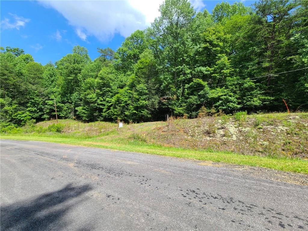 0 Big Creek Road Ellijay, GA 30536 - Photo 6 of 26