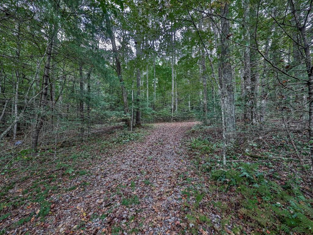 0 Big Creek Road Ellijay, GA 30536 - Photo 7 of 26