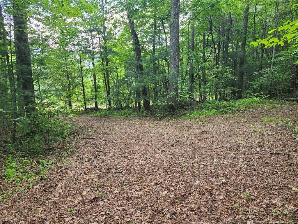 0 Big Creek Road Ellijay, GA 30536 - Photo 8 of 26