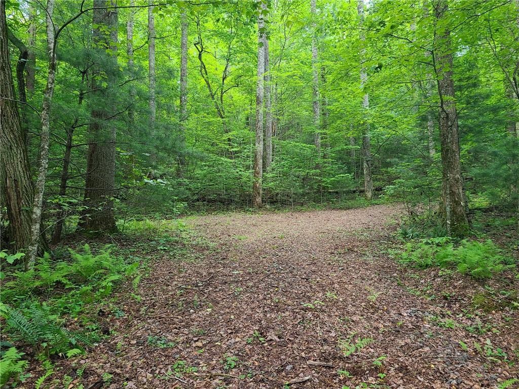 0 Big Creek Road Ellijay, GA 30536 - Photo 9 of 26