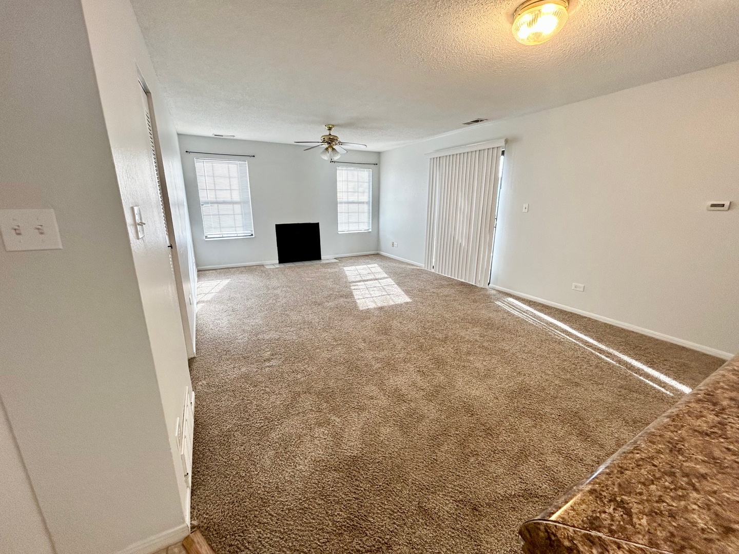 2068 North Rand Road, Unit 109 Palatine, IL 60074 - Photo 4 of 9 a big room with windows and fireplace