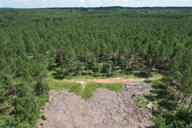 a view of a yard with plants and a building