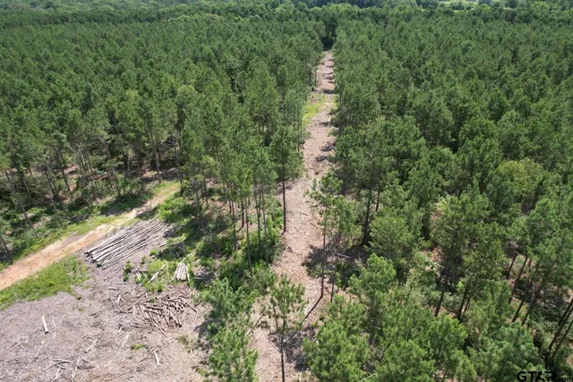 an aerial view of residential house with space and trees