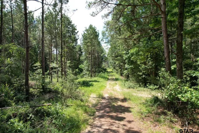 a view of outdoor space and green space