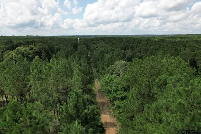 a view of a city and green space