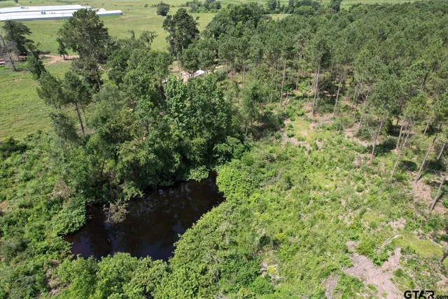 a view of a large yard with plants and large trees