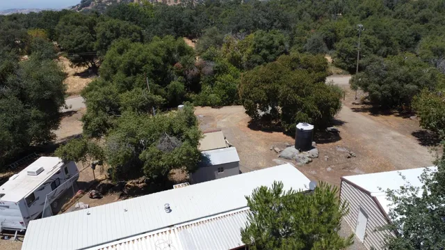 a view of a house with a small yard and a large tree