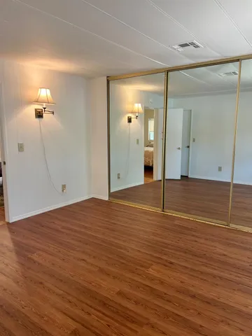 a view of a tree in a garden