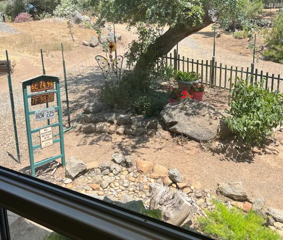 a view of a yard with plants
