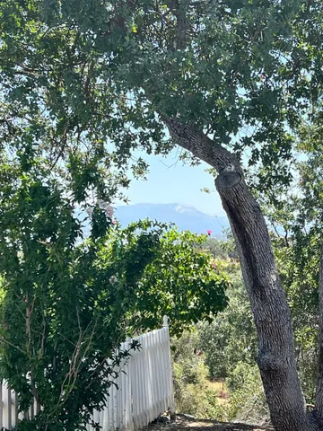 a view of outdoor space and yard