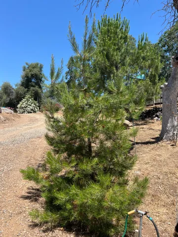 $320,000 | 38150 Sumac Lane, Squaw Valley, CA 93675