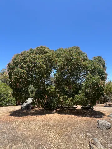 $320,000 | 38150 Sumac Lane, Squaw Valley, CA 93675