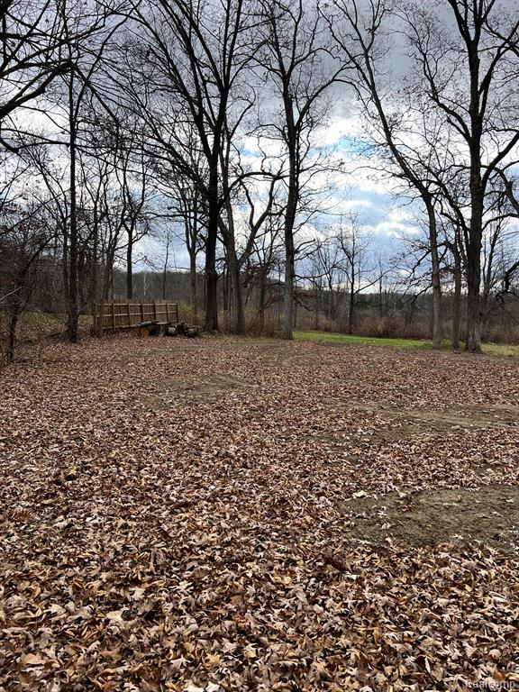 0 Elvira Road Pinckney, MI 48169 - Photo 3 of 4 Gallery Image 3