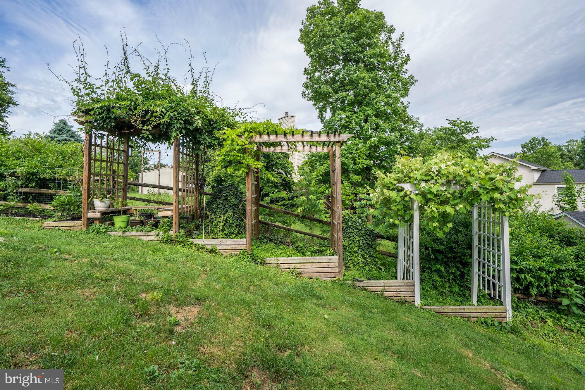 15108 Elk Run Road Chantilly, VA 20151 - Photo 33 of 33 Gardener's Paradise