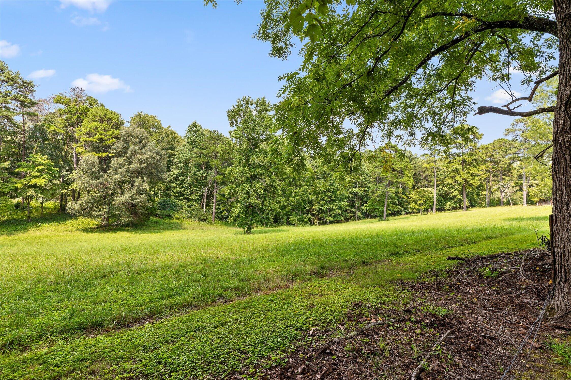 1072 Taylor Broome Road Chickamauga, GA 30707 - Photo 40 of 51 06-1072 Taylor-32