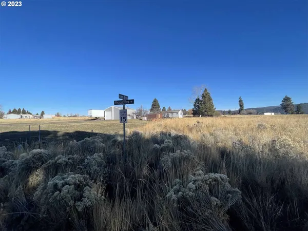 a view of a yard and mountain view in back